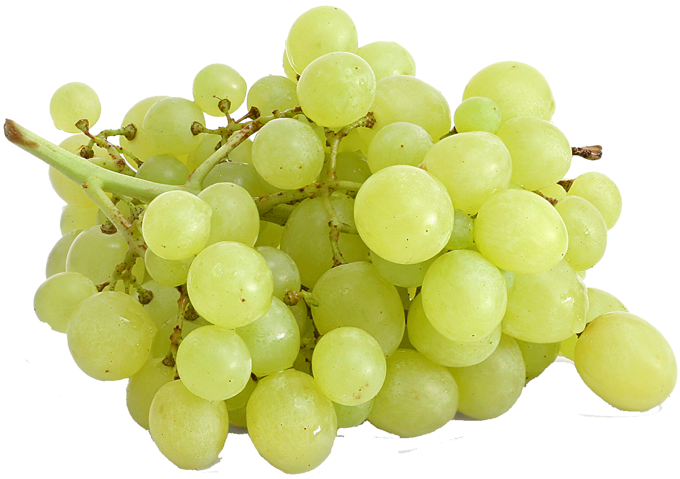 Thompson  seedless green grapes, price per pound Full-Size Picture